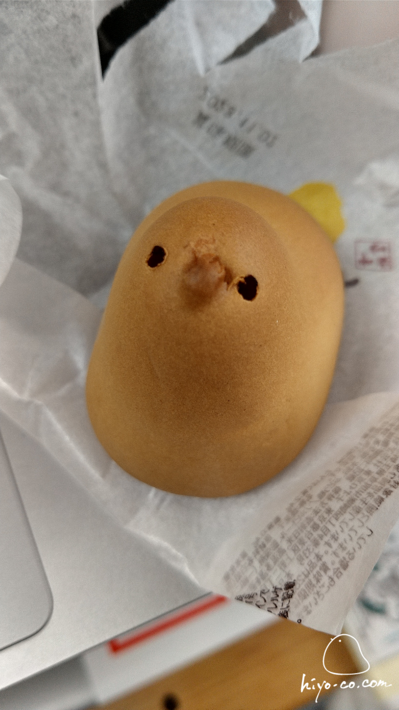 20231029112714-hiyoco.jpg