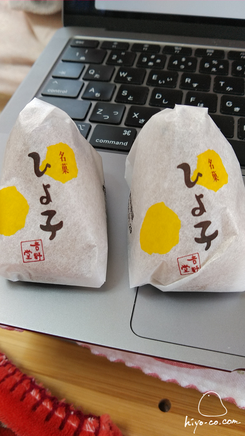 20240114114630-hiyoco.jpg