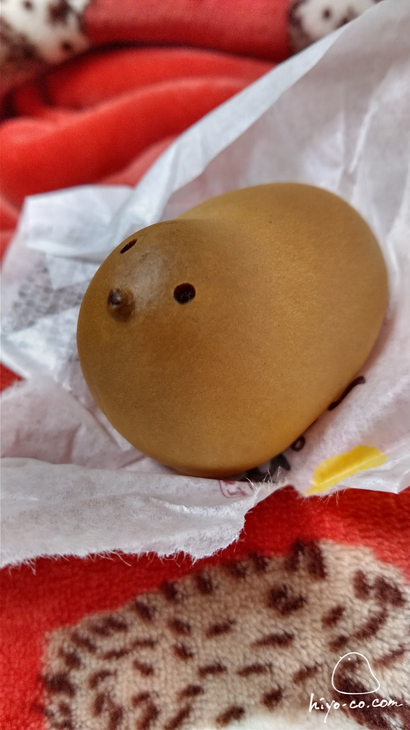 20240125232727-hiyoco.jpg