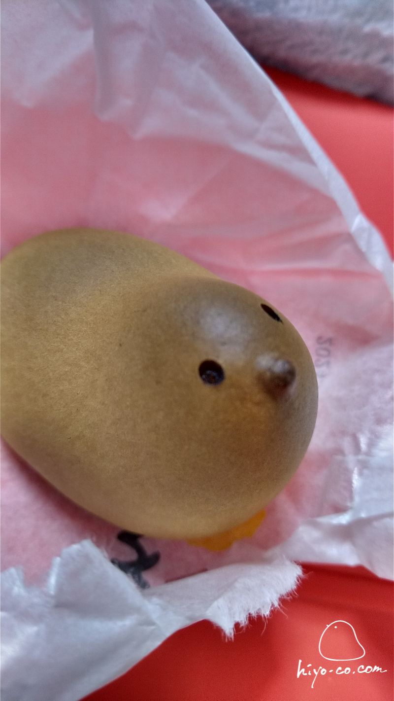 202403132112183-hiyoco.jpg
