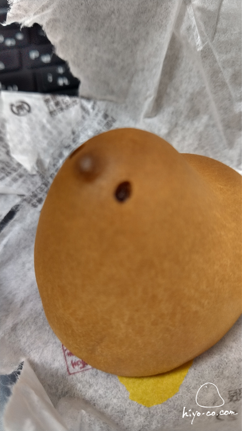 202403171506543-hiyoco.jpg