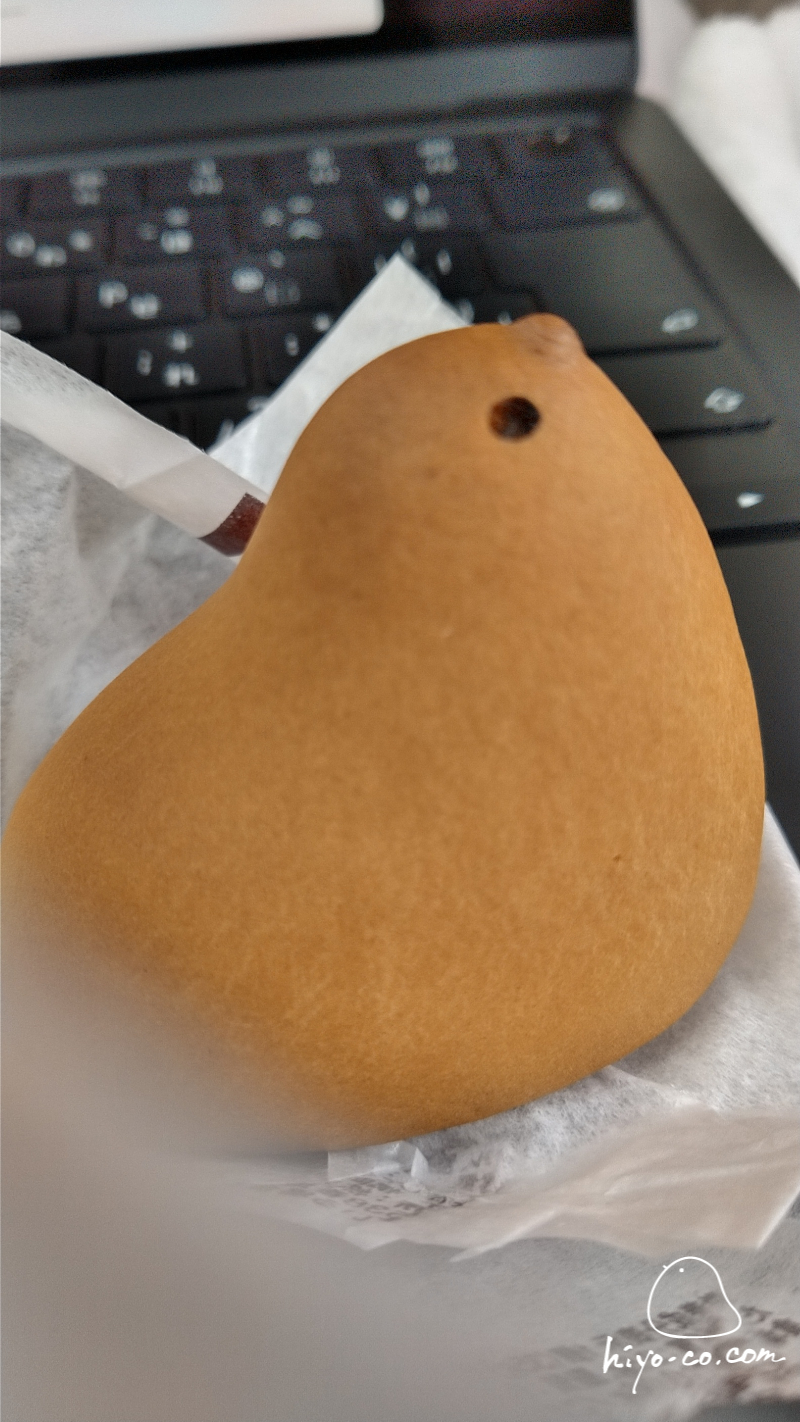 202403201422062-hiyoco.jpg