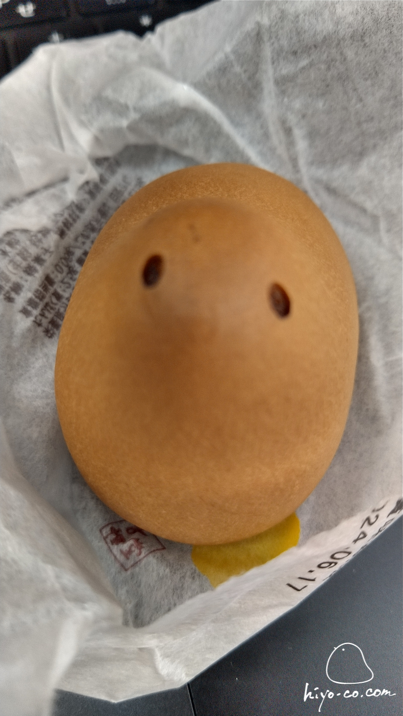 202406151150023-hiyoco.jpg