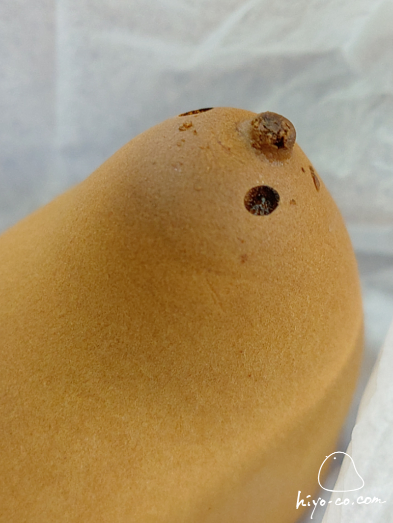 20241107103145-hiyoco.jpg
