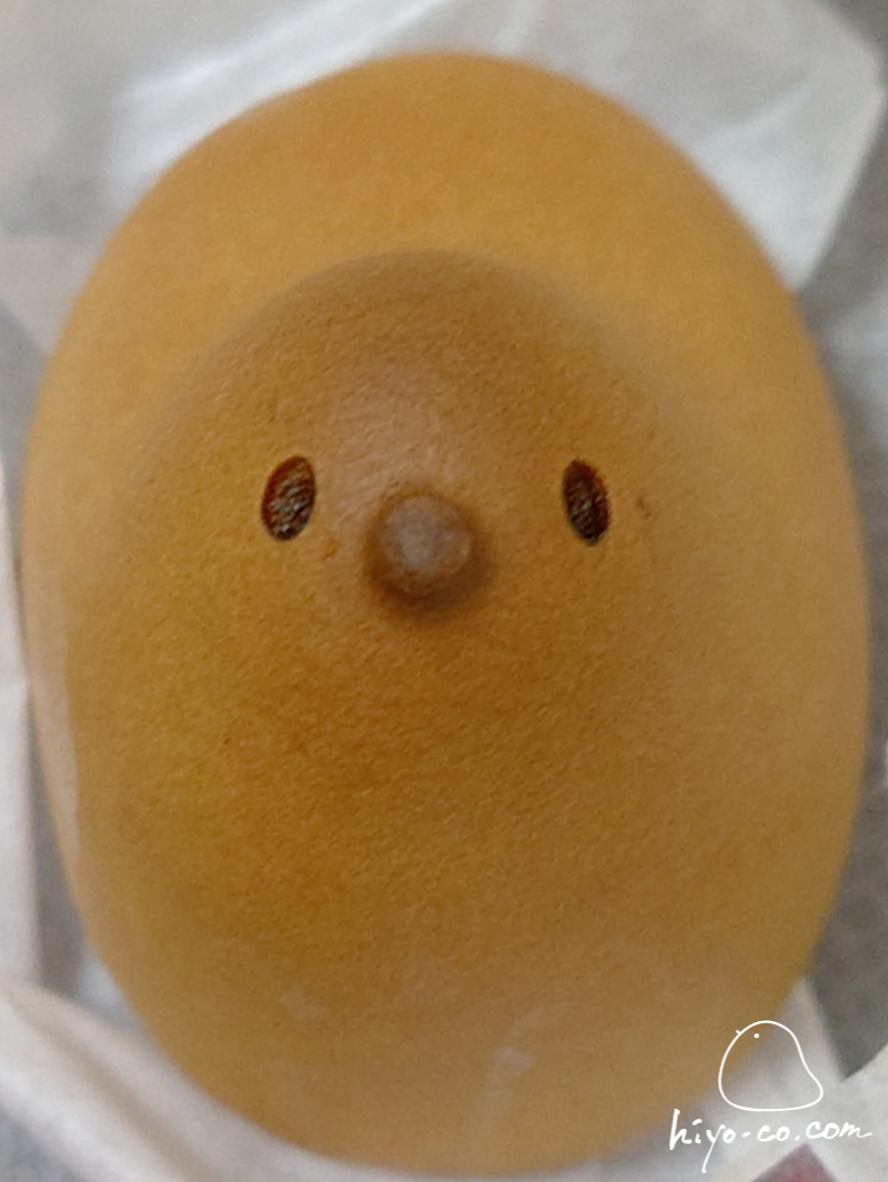 202411132011393-hiyoco.jpg