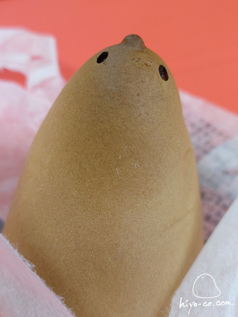 202502050926454-hiyoco.jpg