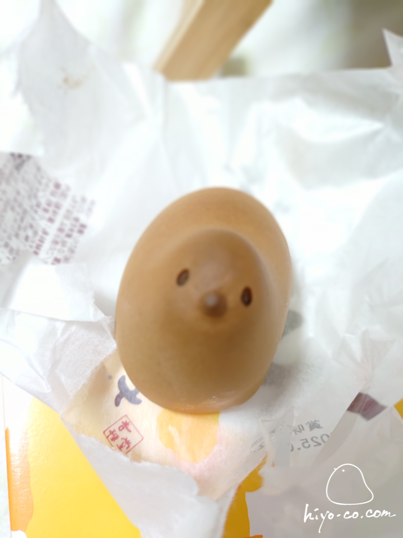 20250207180227-hiyoco.jpg