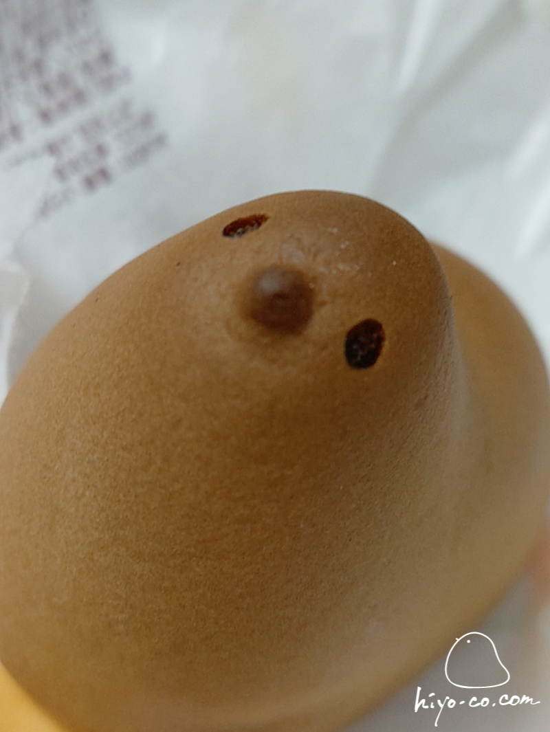 202502071802275-hiyoco.jpg