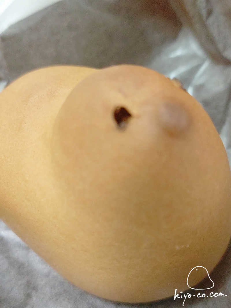 202506111513411-hiyoco.jpg