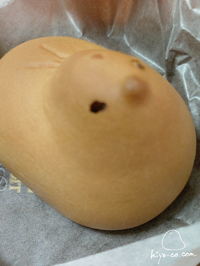 202506231020112-hiyoco.jpg