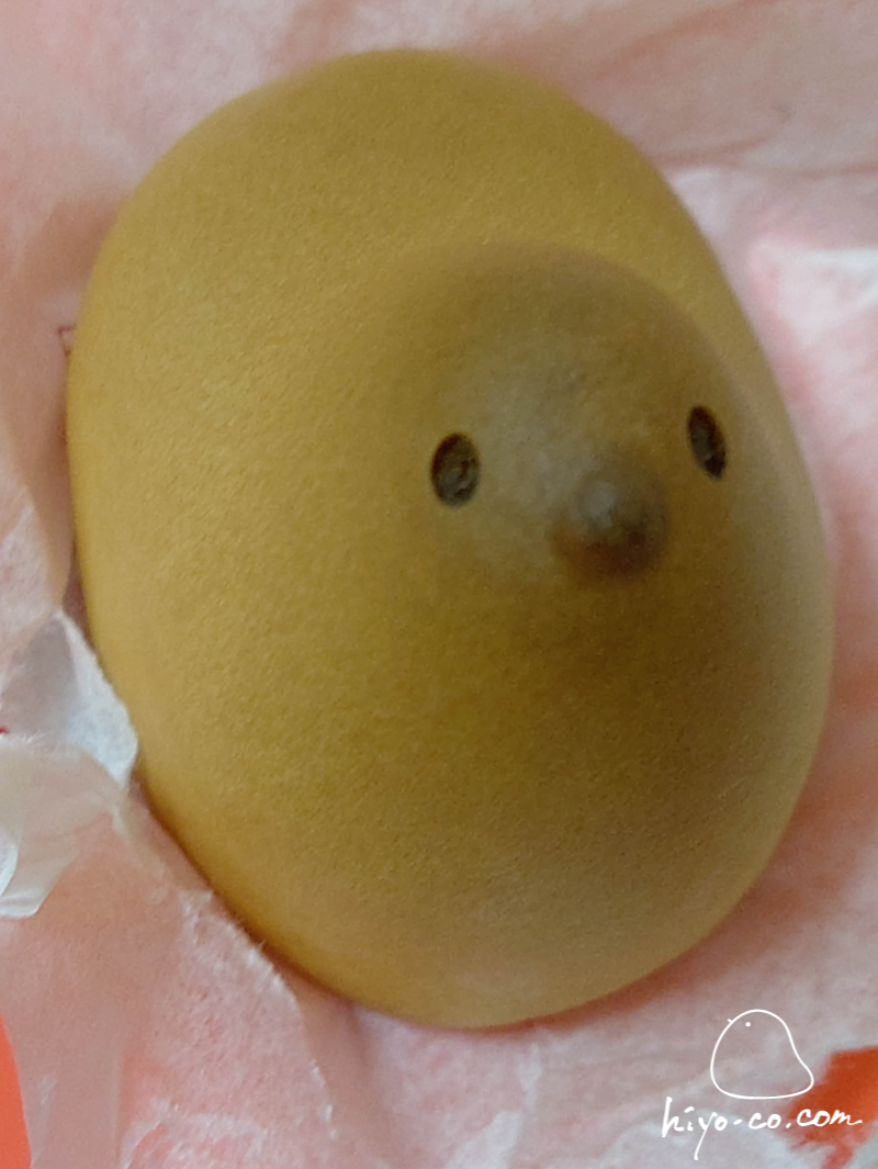 202506231951111-hiyoco.jpg