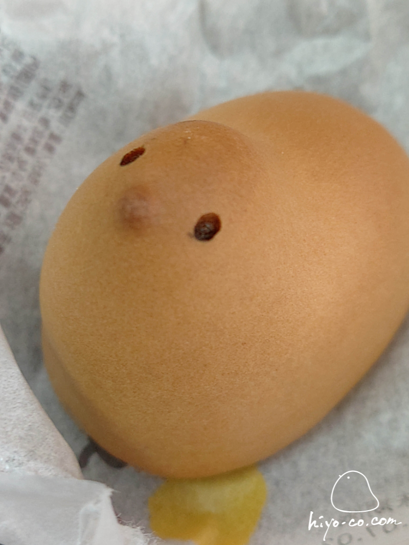 202506271017041-hiyoco.jpg