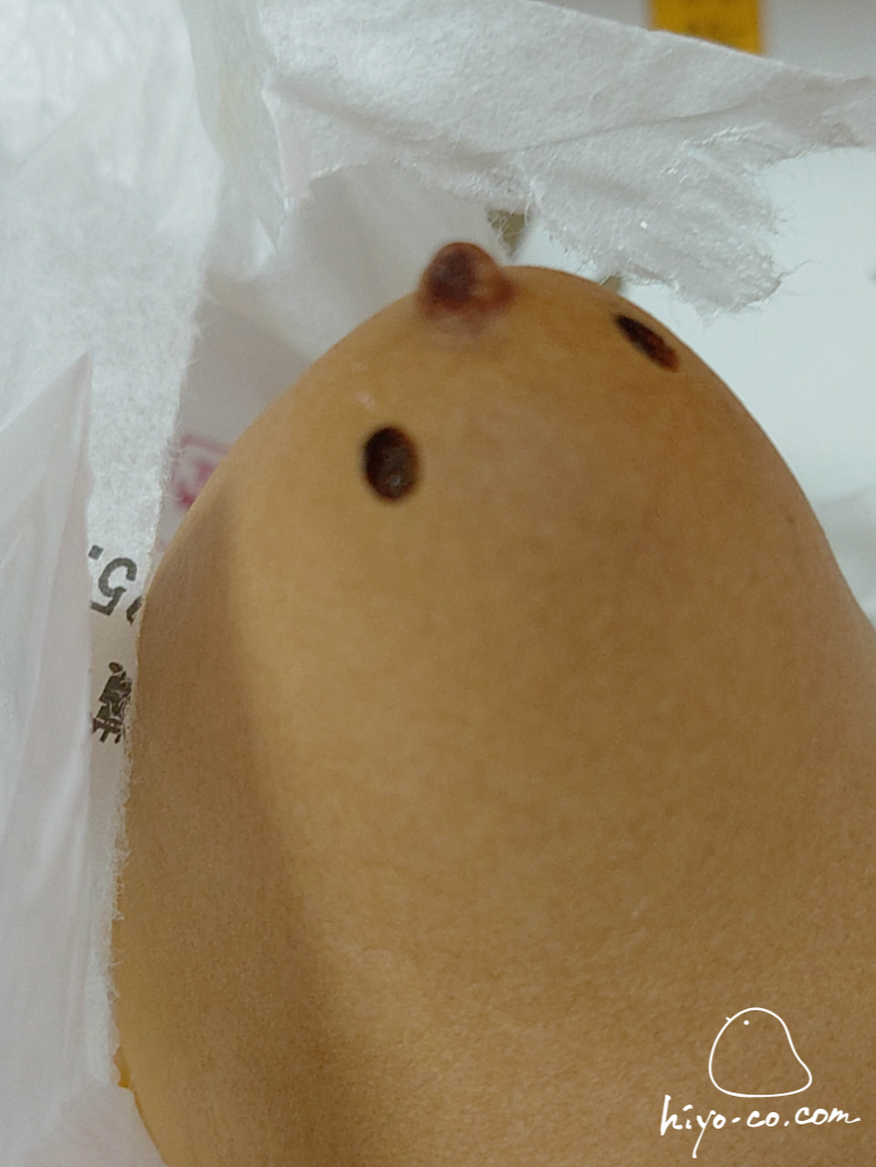 20250728170055-hiyoco.jpg