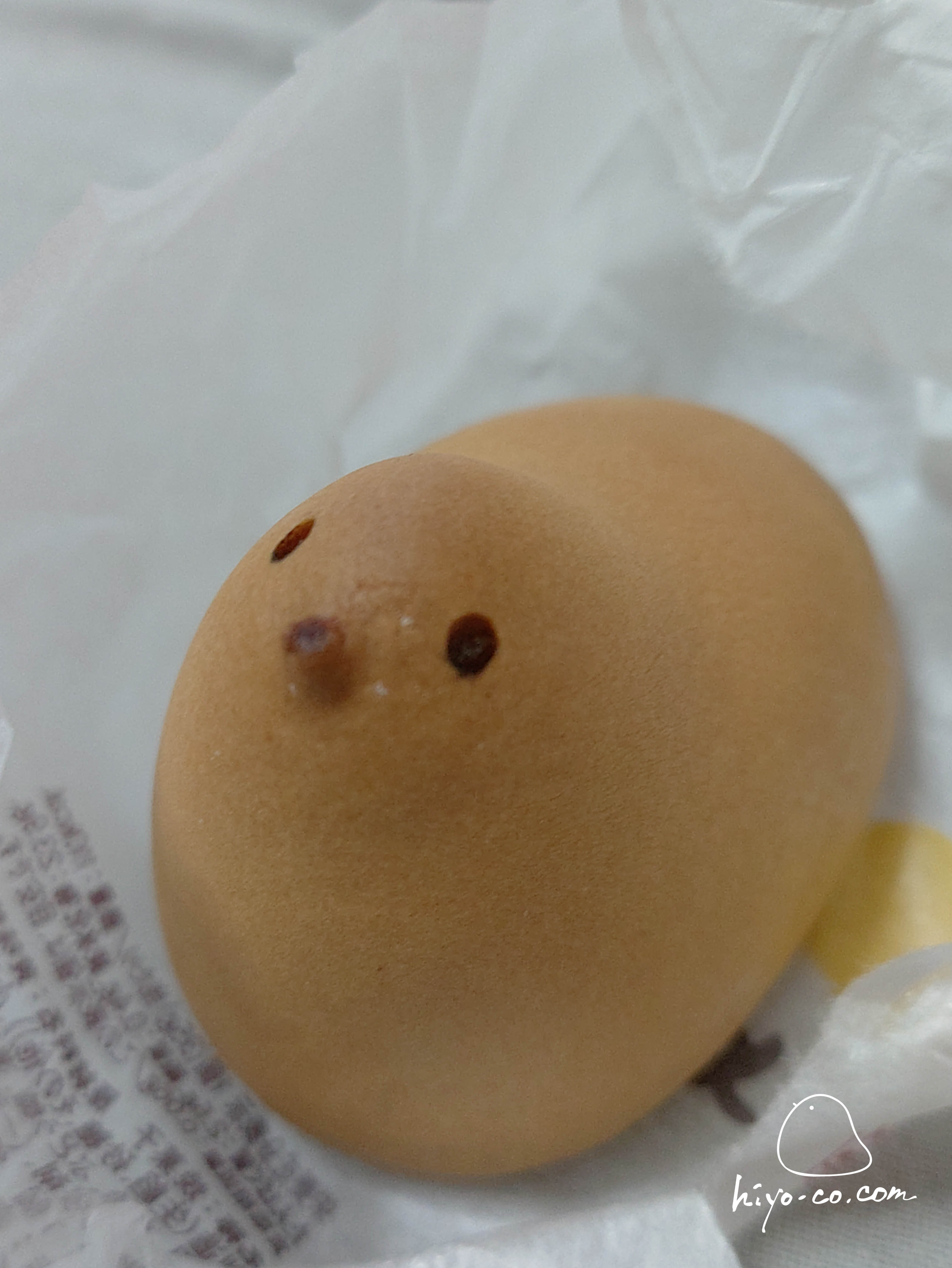202508011932281-hiyoco.jpg