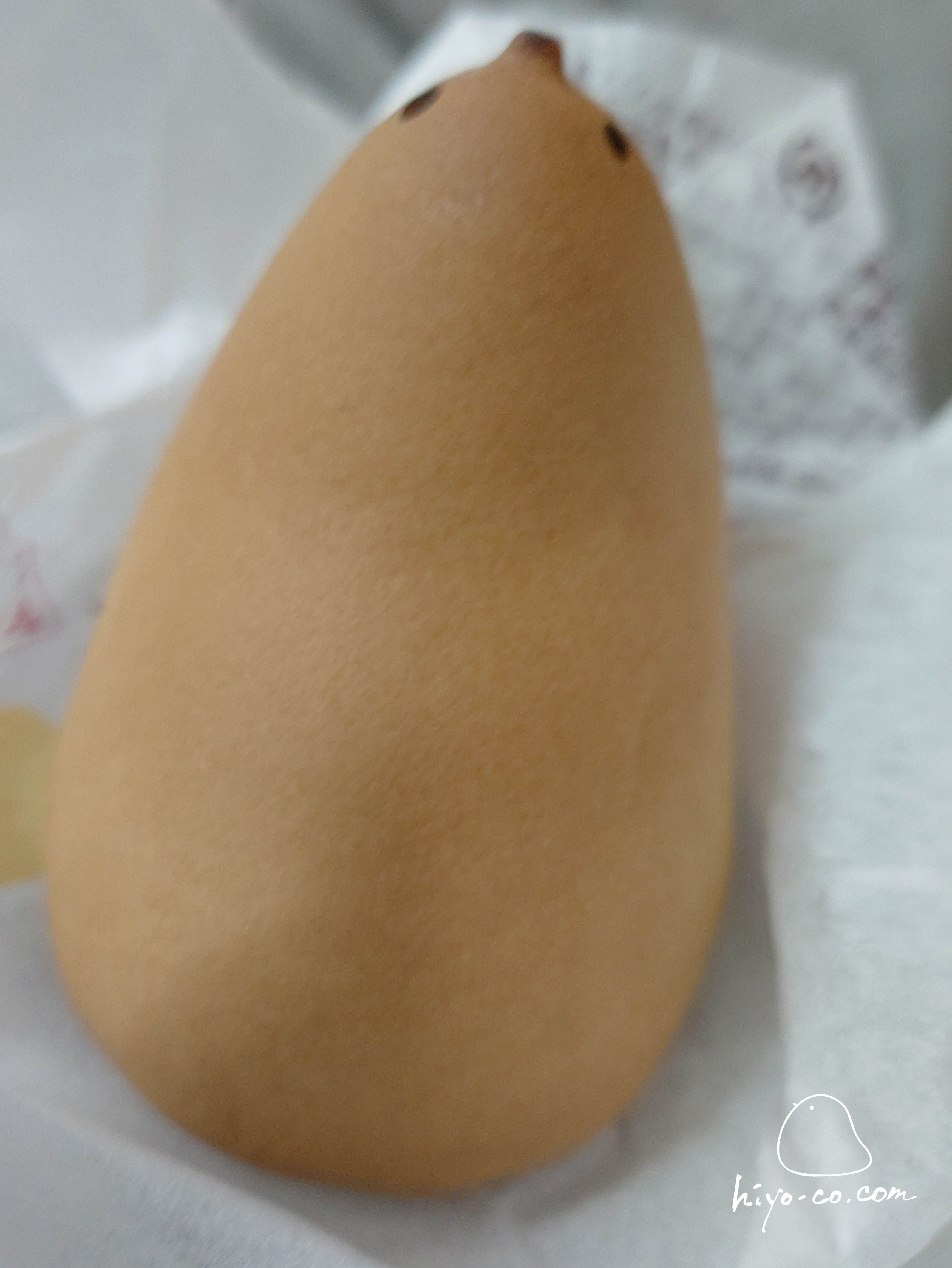202508011932283-hiyoco.jpg