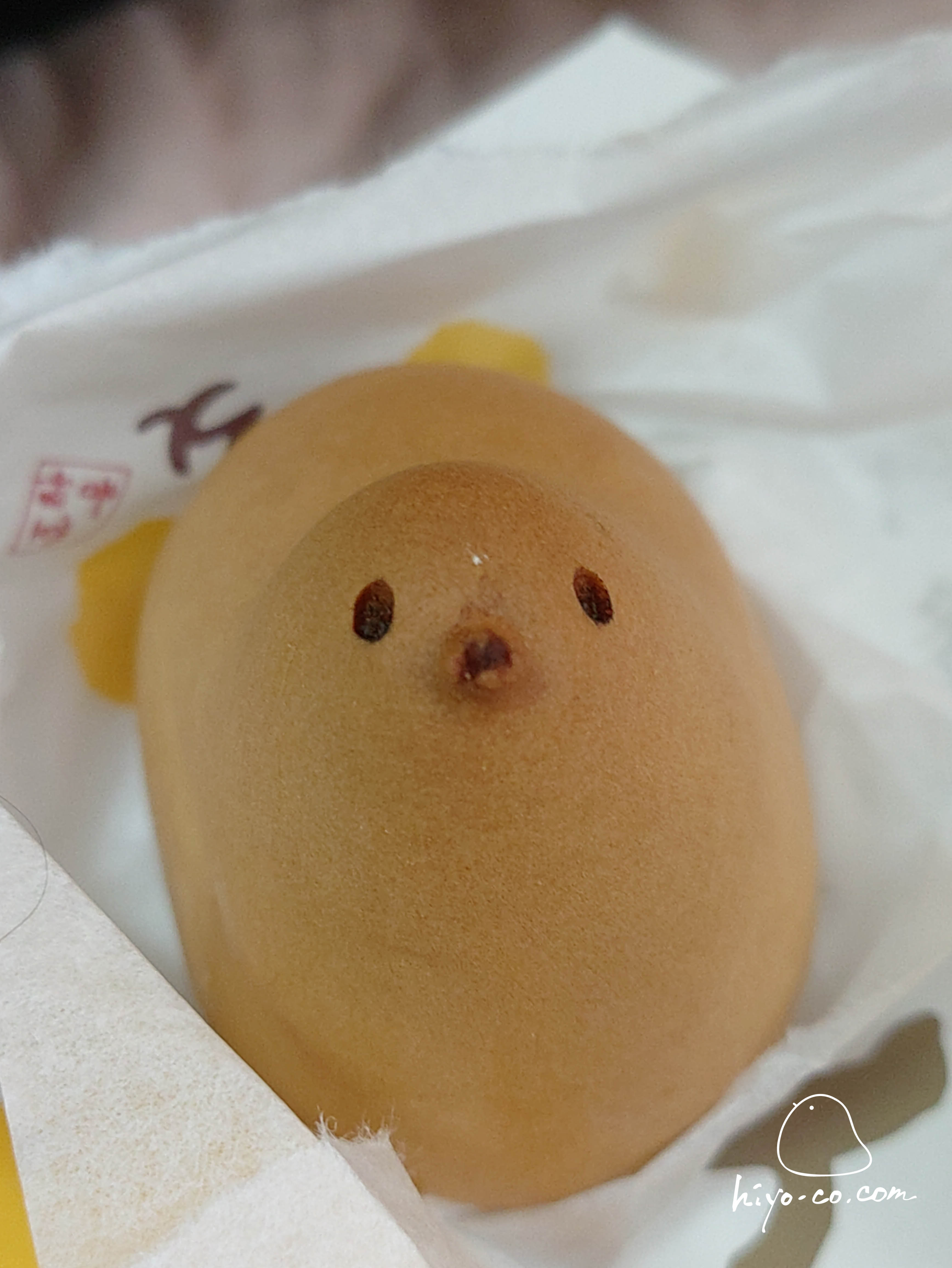 202508031046331-hiyoco.jpg
