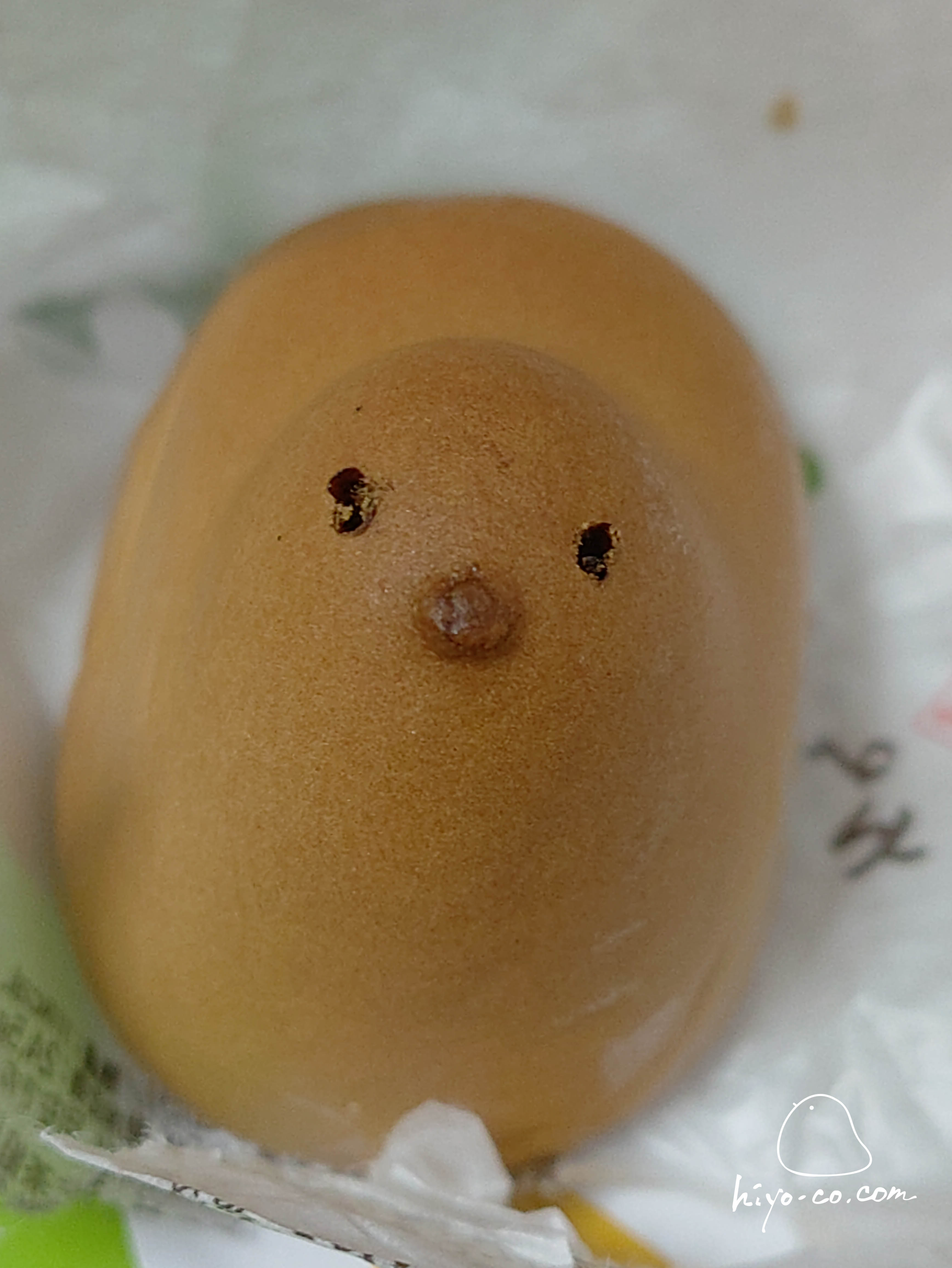 202508121801421-hiyoco.jpg