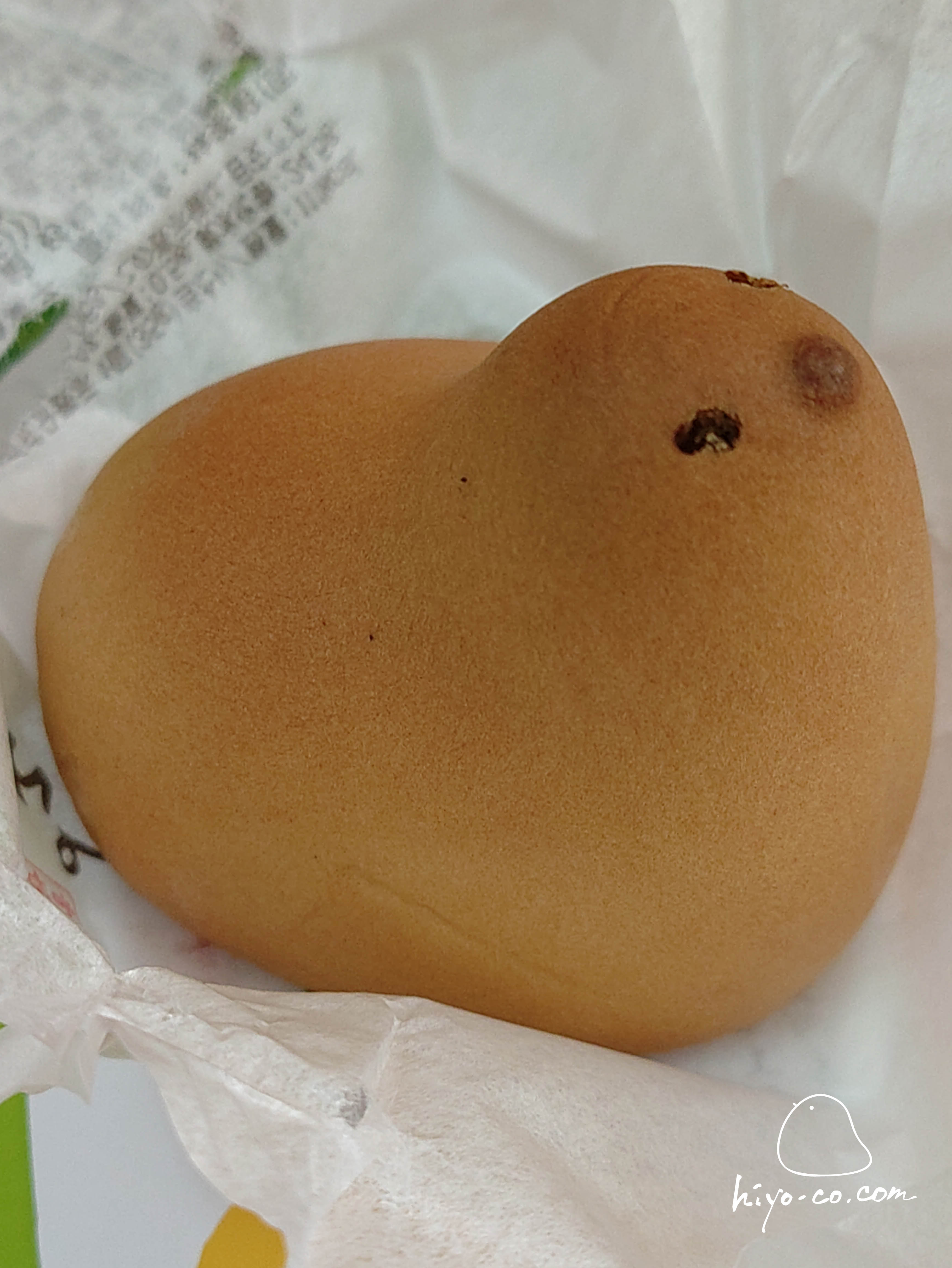 202508170935514-hiyoco.jpg