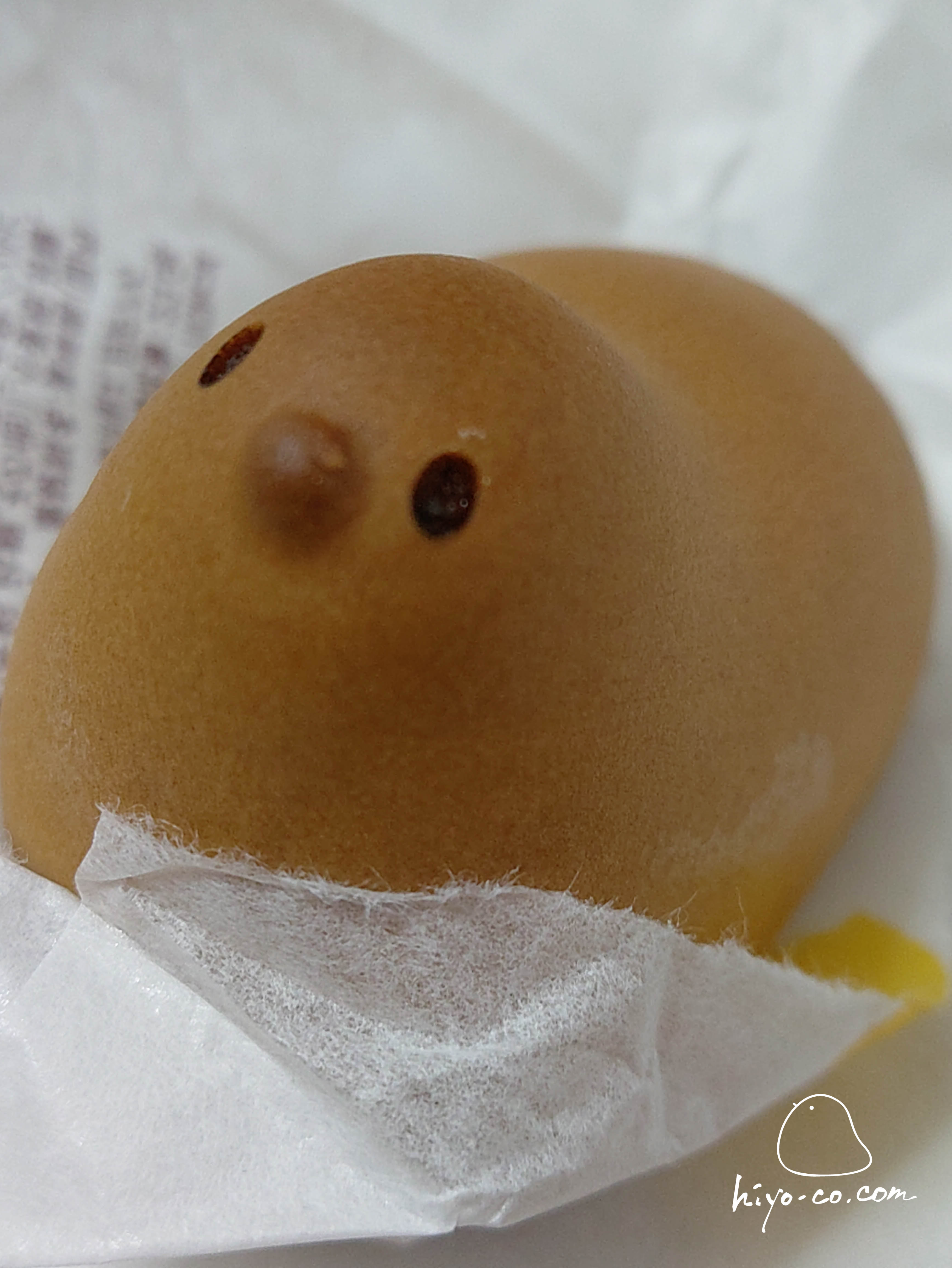 202510221537001-hiyoco.jpg