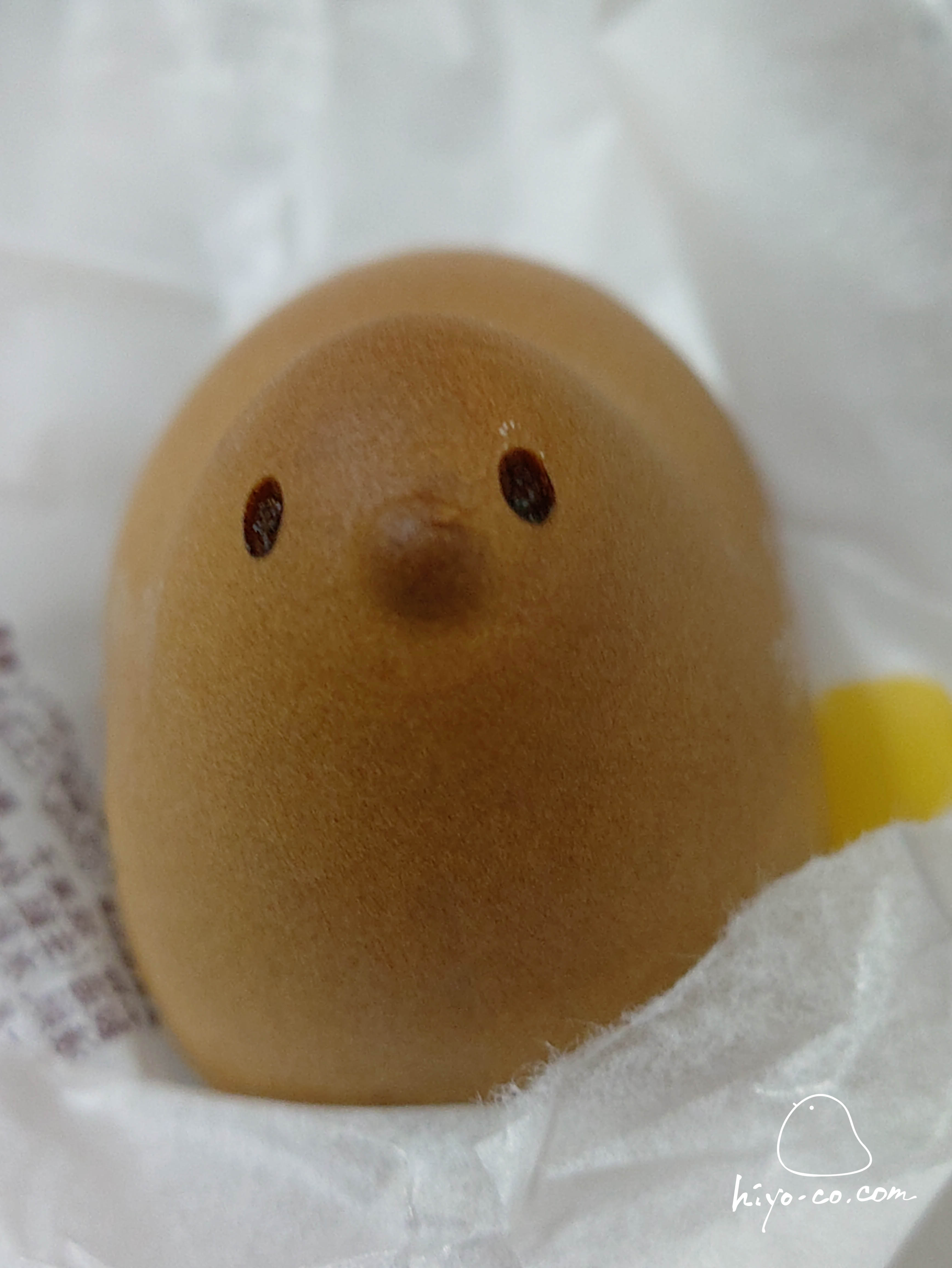 202510221537003-hiyoco.jpg